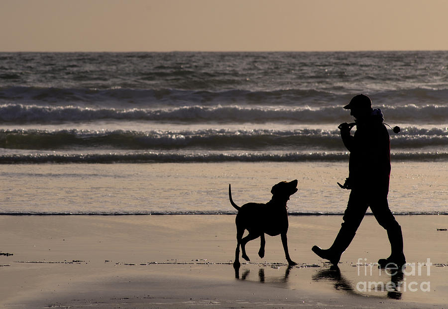 Dog Photograph - Mans Best Friend by Colin Woods