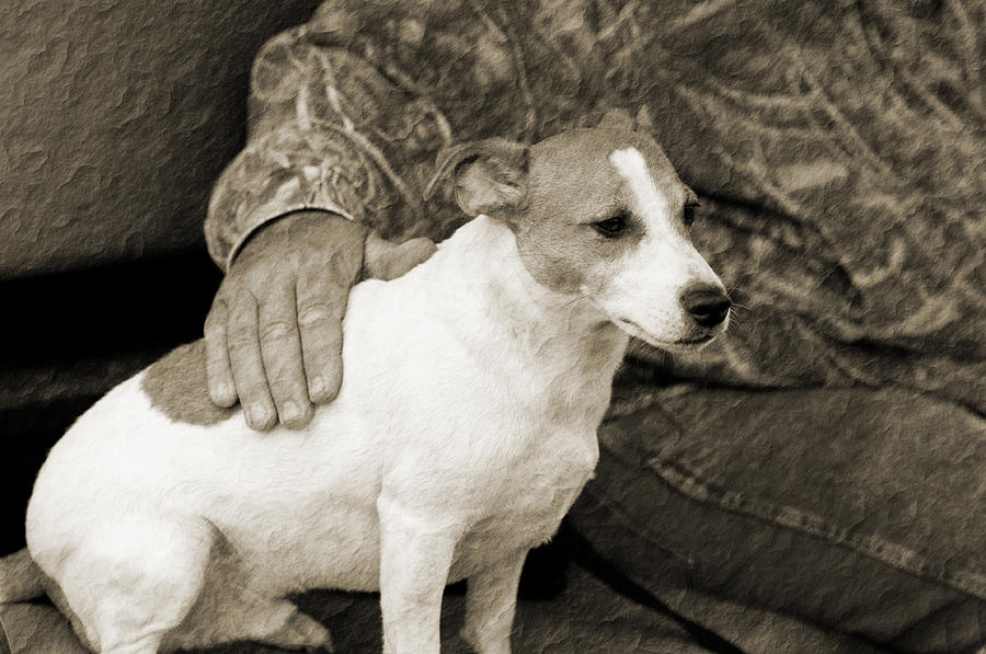 Nature Photograph - Mans Best Friend by Tammy Abrego