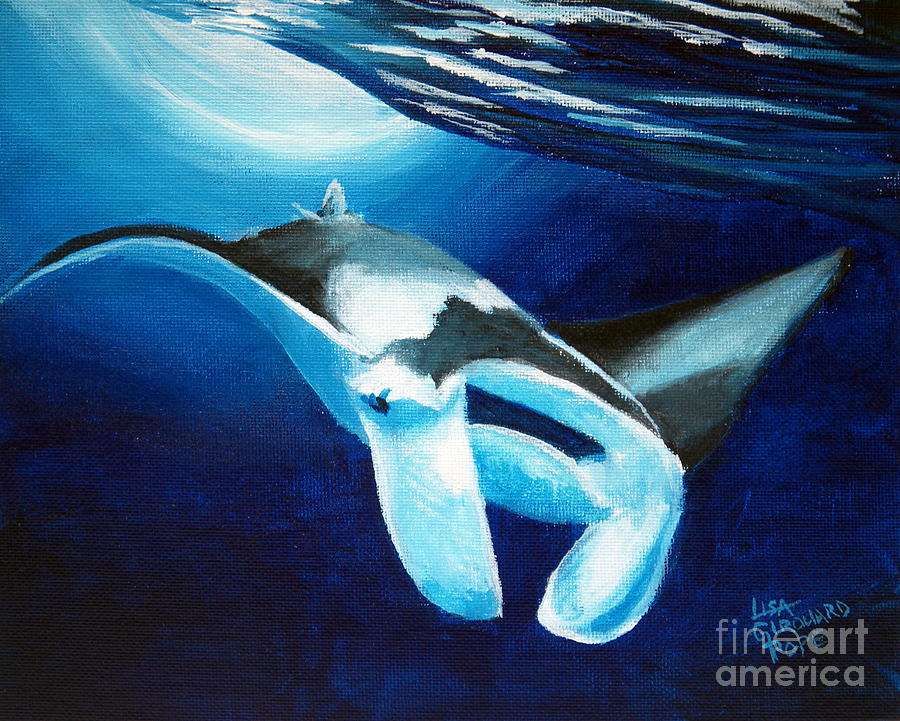 Manta ray diving down Painting by Lisa Pope