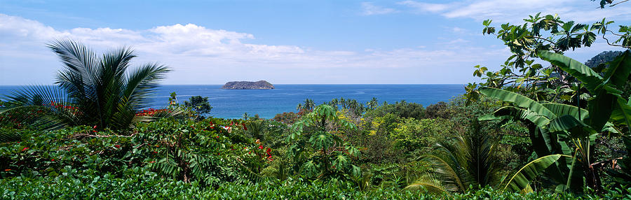 Manuel Antonia National Park Nr Quepos Photograph by Panoramic Images