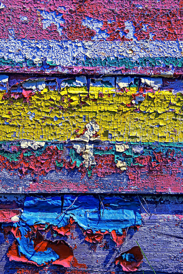 Still Life Photograph - Many Colors Paint Peeling by Garry Gay