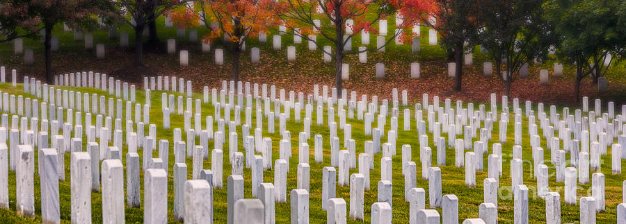 Many have Fallen Photograph by Jerry Fornarotto