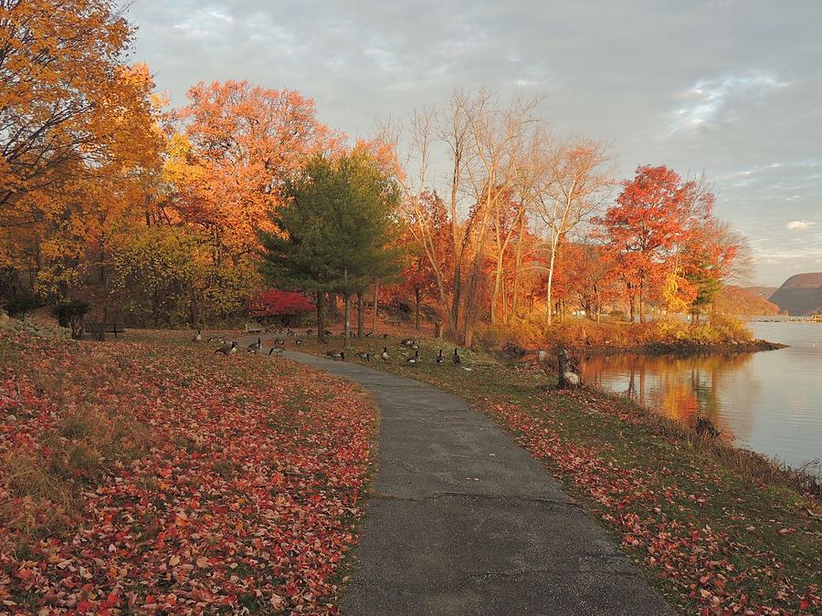 Fall Photograph - Many Paths We Choose by Sue Rosen