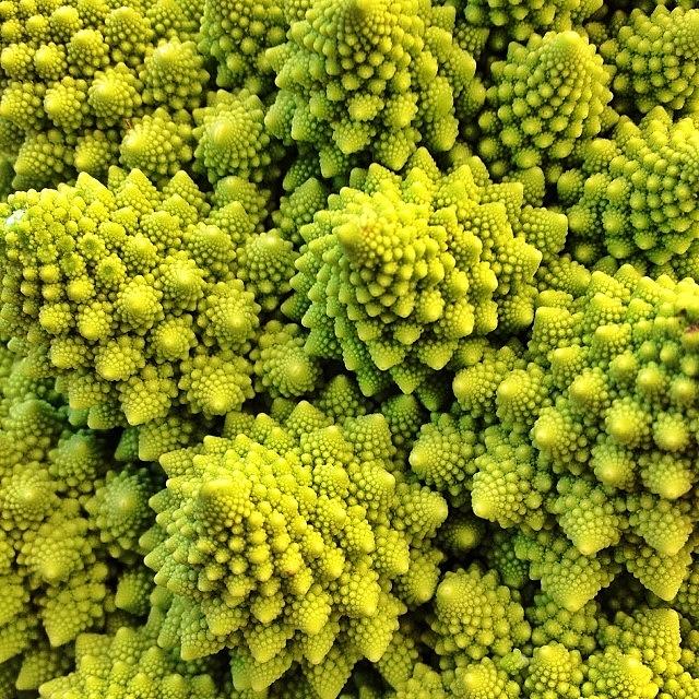 Broccoli Photograph - #many_nio by Blenda Studio