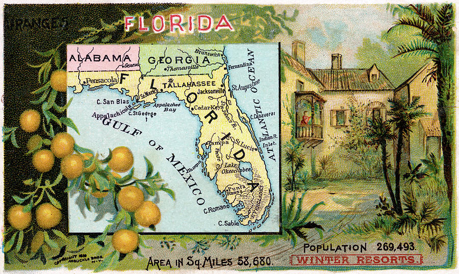Map Florida, 1889 Drawing by Granger