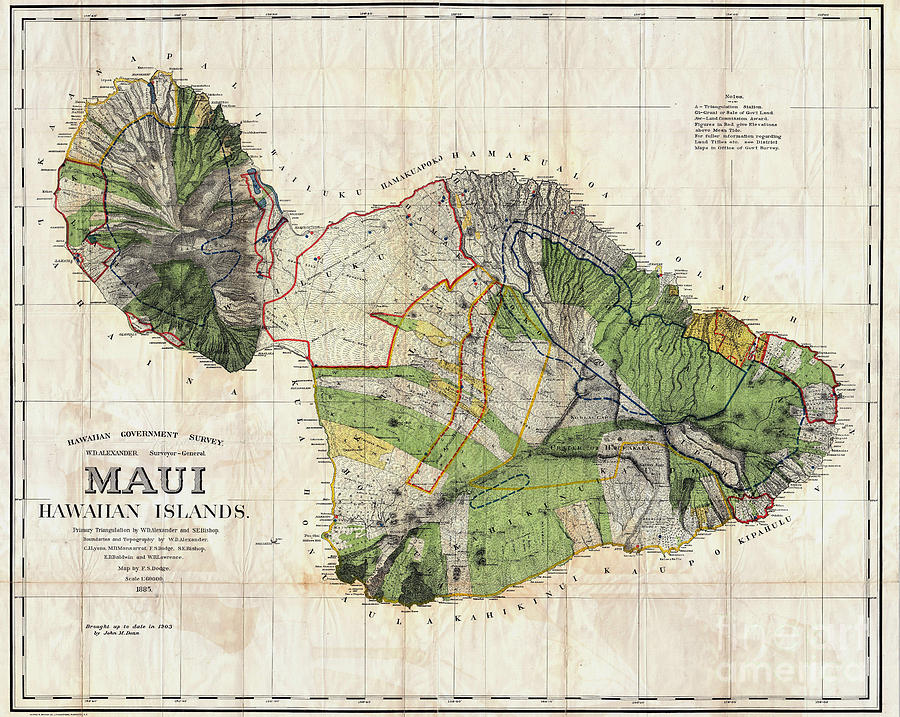 Hawaii Drawing - Map of Maui 1885 by Jon Neidert