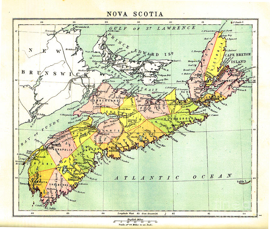 map of Nova Scotia - 1878 Drawing by Art MacKay