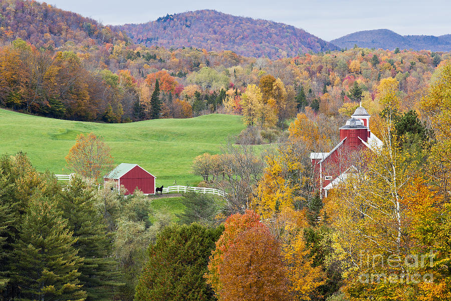 Maple Corner Fall Photograph by Alan L Graham Pixels