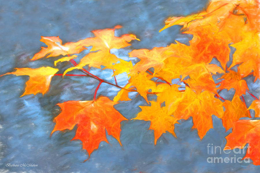 Fall Photograph - Maple Impressions by Barbara McMahon