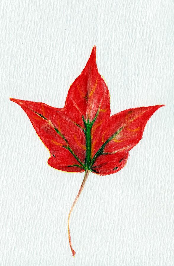 Fall Painting - Maple Leaf by Anastasiya Malakhova