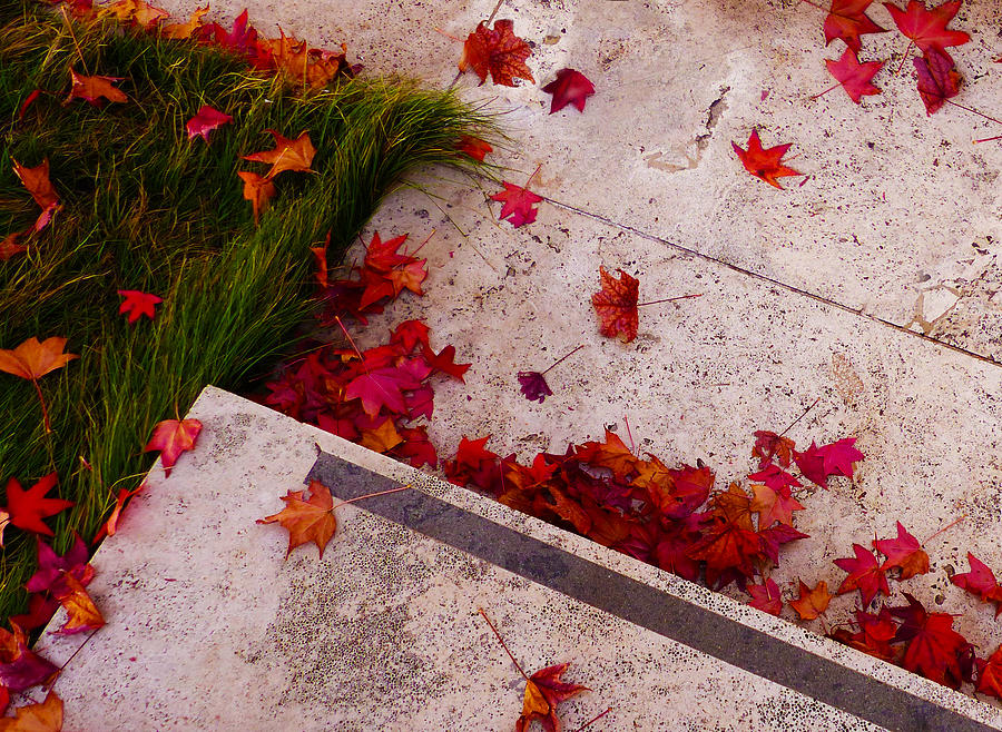 Maple Leaf Fall 2 - The Getty Digital Art by Robert J Sadler