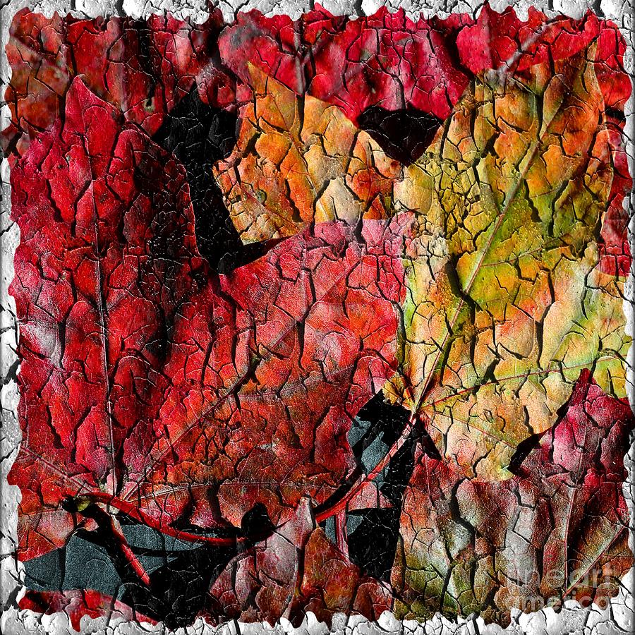 Maple Leaves Square Grunge Photograph by Barbara A Griffin