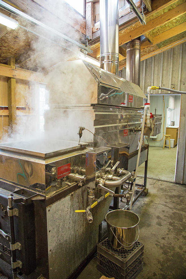 Maple Syrup Production Photograph By Jim Westscience Photo Library 6027