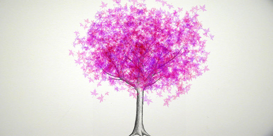 Nature Digital Art - Maple Tree 4 by Syed Bilawal Kamal