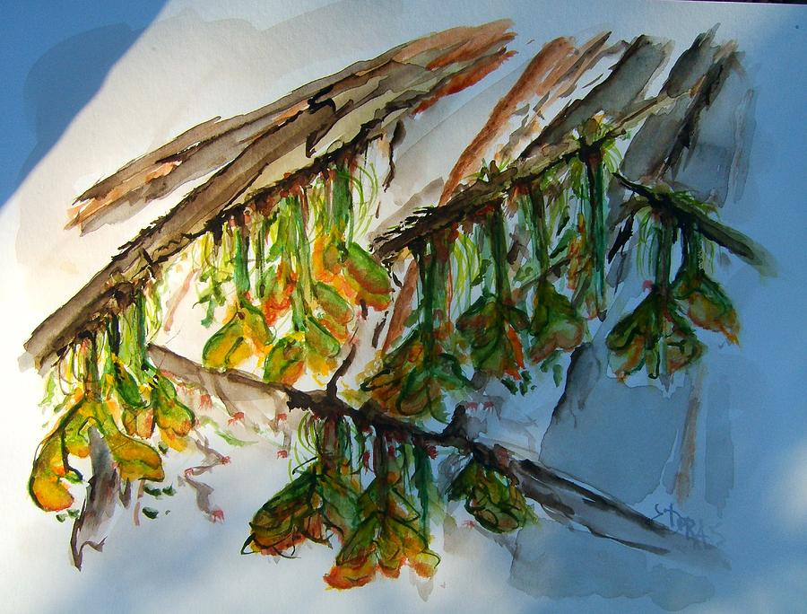 Maple Tree Buds Painting by Elaine Duras