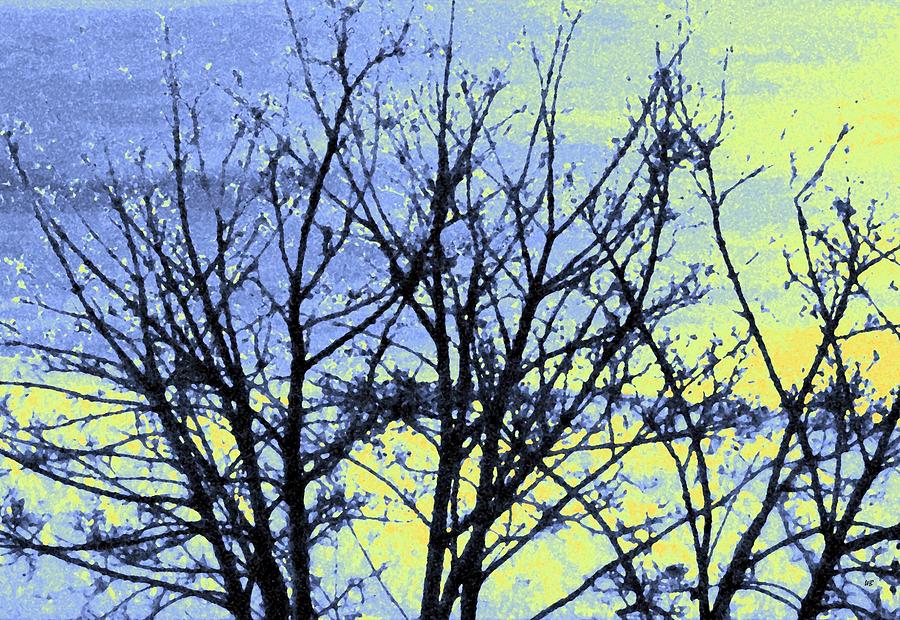 Maple Tree In Winter Digital Art by Will Borden