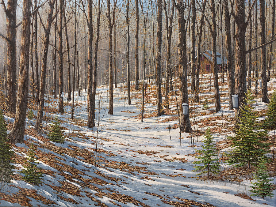 Maple Woods Painting by Jake Vandenbrink