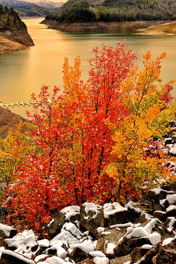 Maples Along the Palisades Photograph by Greg Norrell
