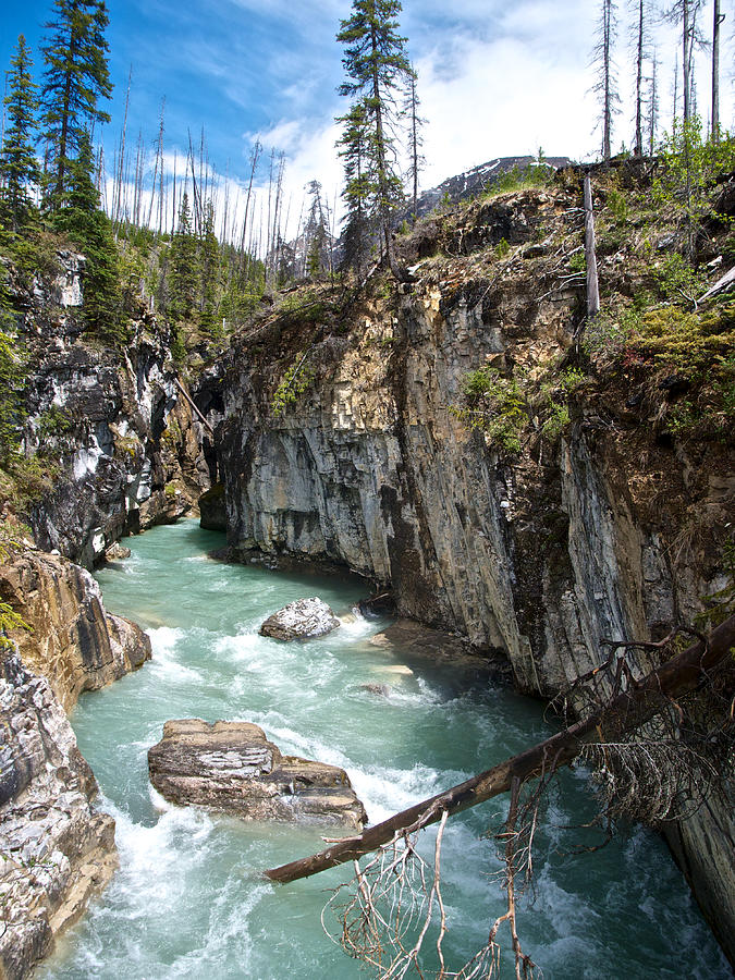 Marble Canyon In Kootenay Np-bc Photograph by Ruth Hager