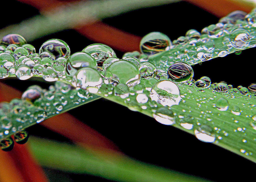 Marble Drops Photograph by Suzy Piatt
