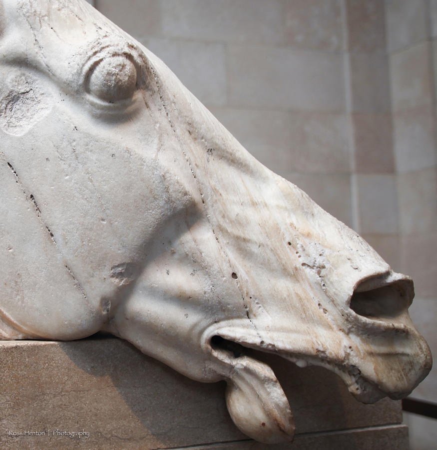 Marble Equus Photograph by Ross Henton