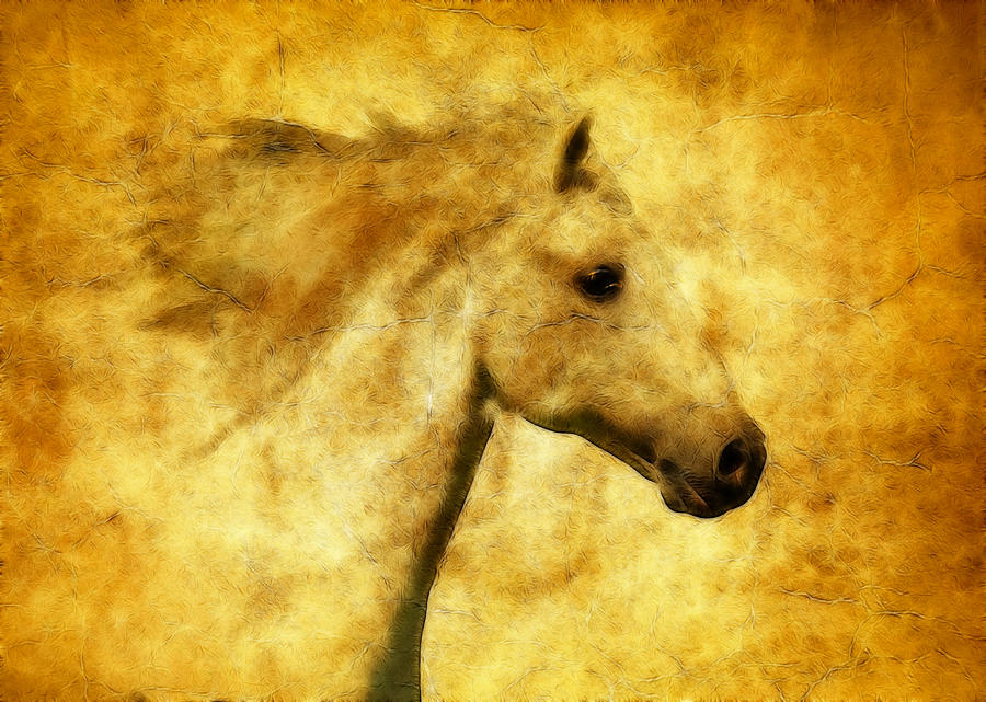 Marbled War Horse Photograph by Athena Mckinzie