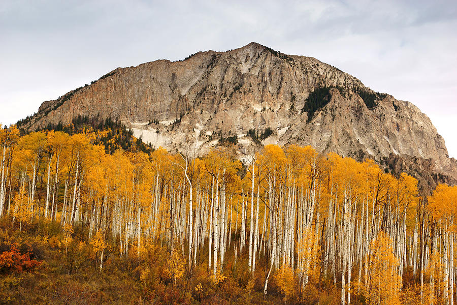 Marcellina Mountain in Autumn Photograph by Daniel Woodrum