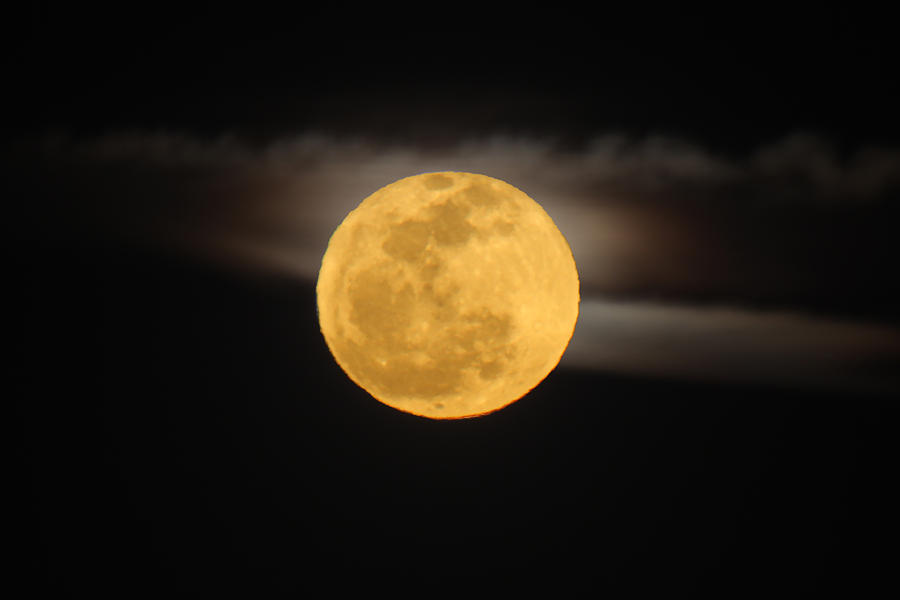 March Full Moon Photograph by Deana Glenz