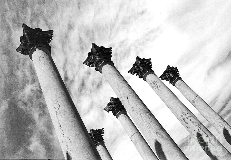 Architecture Photograph - March Of The Columns by Walter Neal