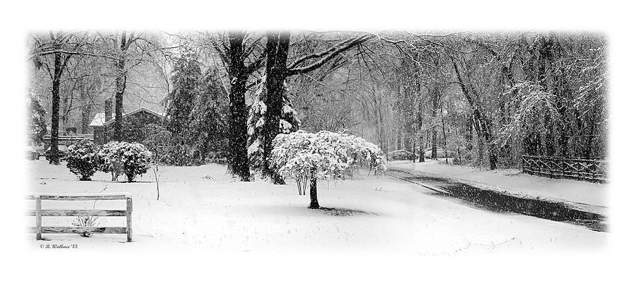 Tree Photograph - March Snow - Pano by Brian Wallace