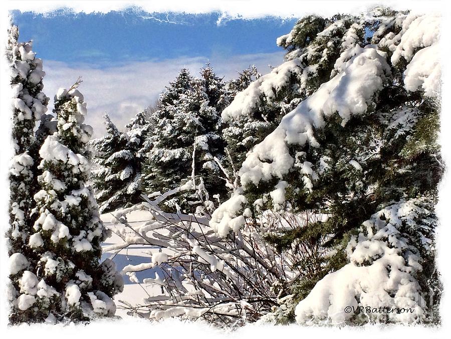 March Snow Photograph by Veronica Batterson