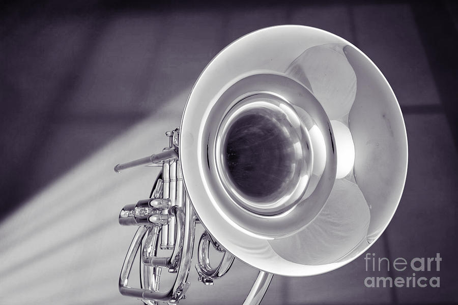 Marching French Horn Antique Classic in Sepia 3425.01 Photograph by M K Miller