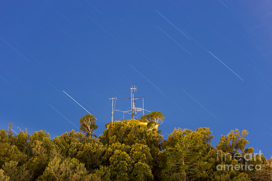 Tree Photograph - Marconi radio tower by Mats Silvan