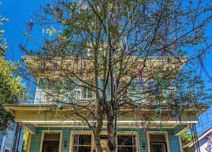 mardi gras beads on tree