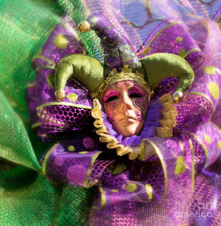 Mardi Gras Decoration Photograph by Jerry Fornarotto