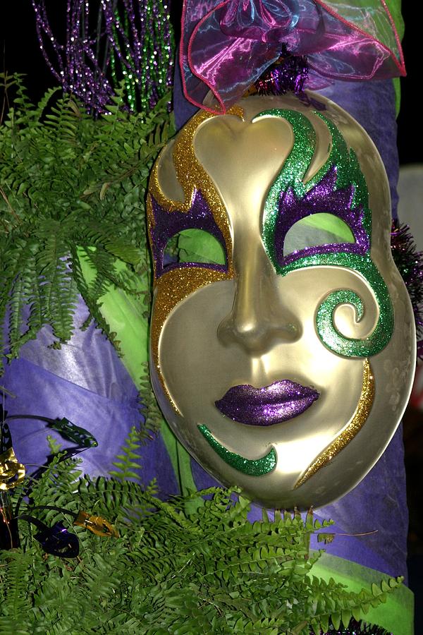 Mardi Gras Mask Photograph by Living Color Photography Lorraine Lynch