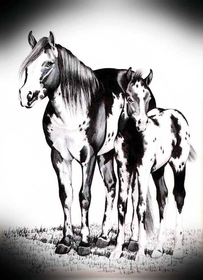 Horse Drawing - Mare and Colt by Cheryl Poland