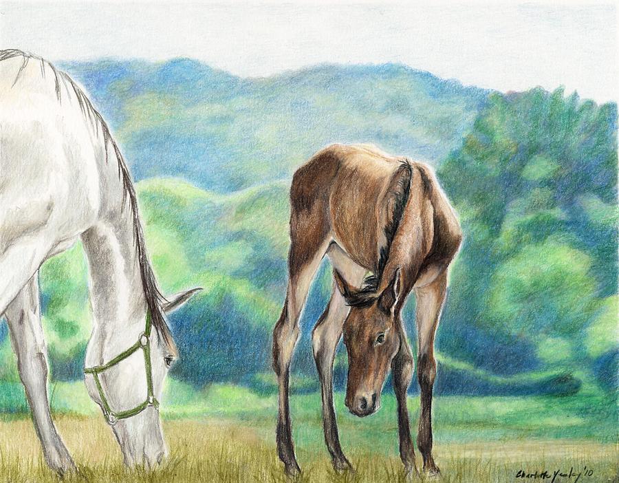 Mare and Foal Painting by Charlotte Yealey