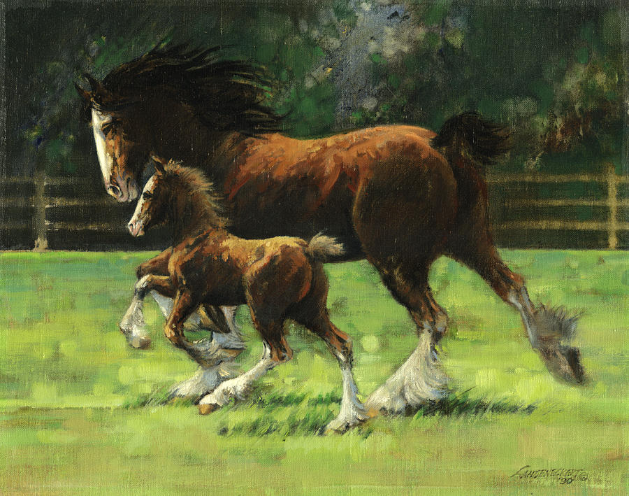 Clydesdale Painting - Clydesdale Mare and Colt by Don  Langeneckert