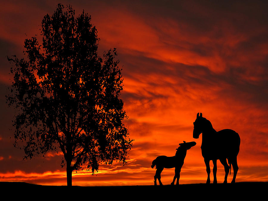 Mare and Foal Sunset Silhouette Series Photograph by David Dehner