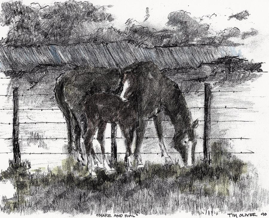 Mare and Foal Mixed Media by Tim Oliver