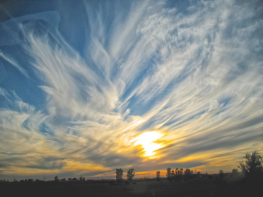 Mares Tails Photograph by Mark Egerton