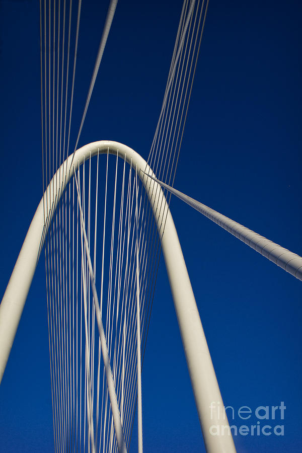 Dallas Photograph - Margaret Hunt Hill Bridge by Elena Nosyreva