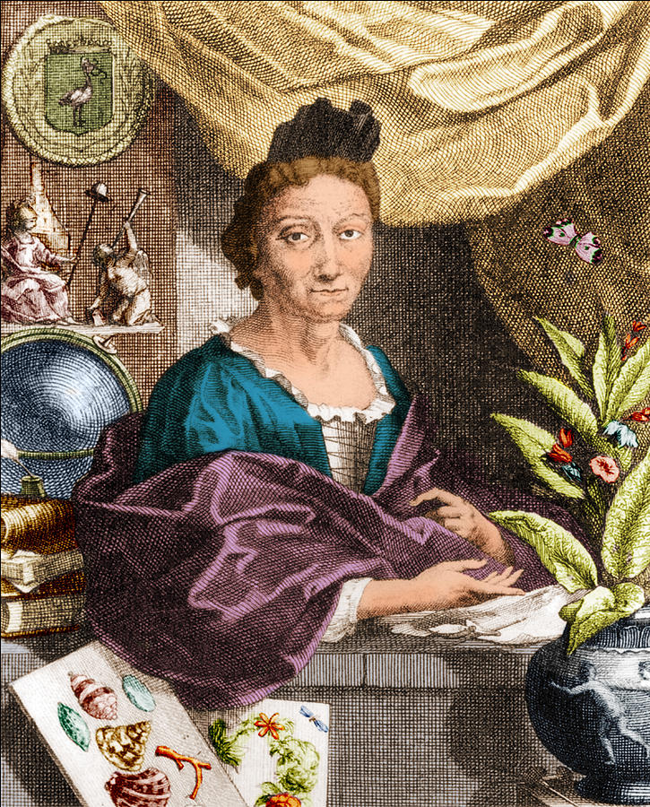 Maria Merian  Photograph by Science Source