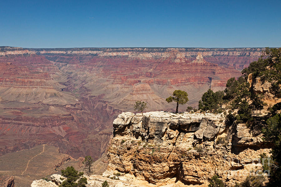 Maricopa Point Grand Canyon National Park Photograph by Fred Stearns