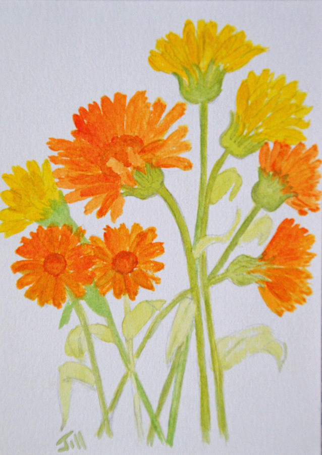 Marigolds Painting by Jill Armstrong - Fine Art America