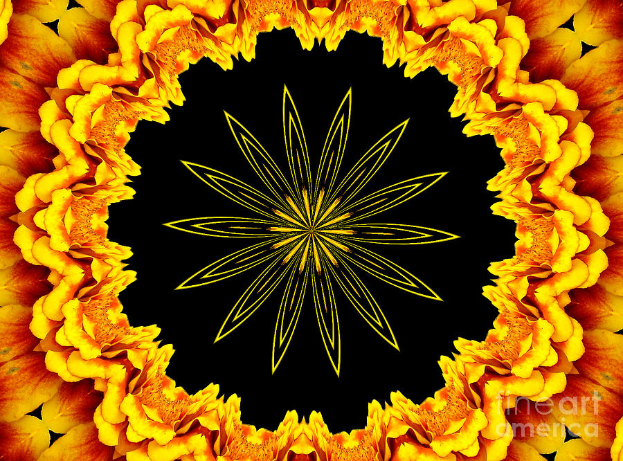 Marigolds Kaleidoscope 1 Photograph by Rose Santuci-Sofranko