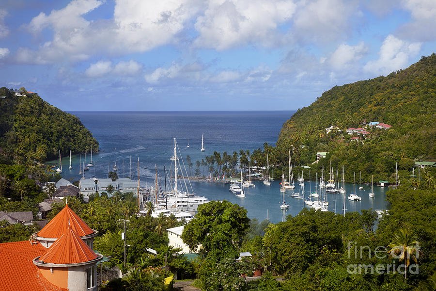 Marigot Bay - Saint Lucia Photograph by Brian Jannsen