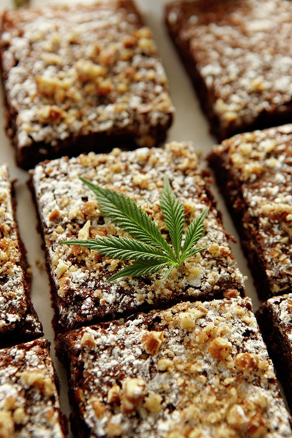 Marijuana Brownies Photograph by Lew Robertson