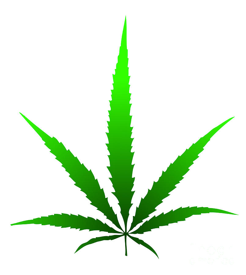 top 100+ Pictures how to draw weed leaf step by step Superb